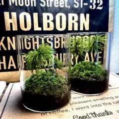 はなはなはなこ様 リクエスト 4点 まとめ商品