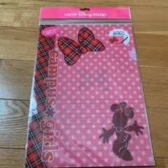 ディズニー　クリアホルダー3枚セット