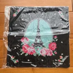 Item thumbnail for item 25f412d4-aa1e-4ea1-a315-dc6c9fa3329d