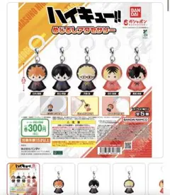 ハイキュー!! めじるしアクセサリー 全5種