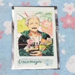 WIND BREAKER ウィンブレ ランダムフォト風カード バースデー 梅宮