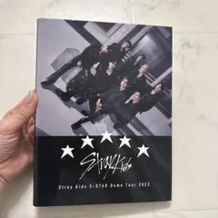 StrayKids スキズ　トレカケース