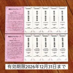 東武ホテルグループ 株主優待券 宿泊・飲食割引券セットのサムネイル