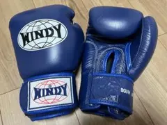 2026年最新】windy グローブの人気アイテム - メルカリ