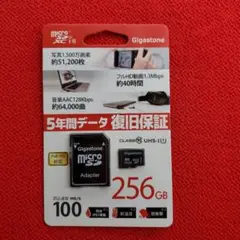 Gigastone microSDXC 256GB UHS-I　　未開封新品