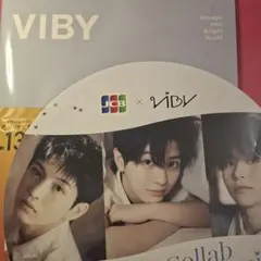 VIBY 武道館 お土産
