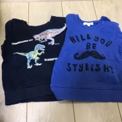 恐竜デザイン トレーナー　2枚セット