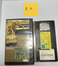 Item thumbnail for item c8c89150-f4cb-428c-a81c-b6ac81c83d1b