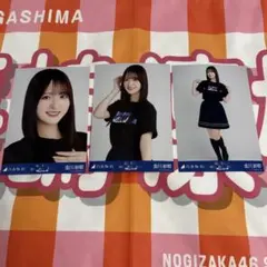 Item thumbnail for item 8a165b30-79fa-4482-b397-7d76e2f8eebd