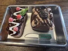 미니 스퀴시 세트
