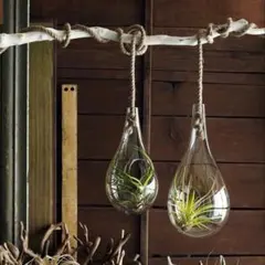 Item thumbnail for item 480ef53a-5885-402a-aab1-da711fe8660e