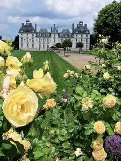 Item thumbnail for item c1abf43e-aab2-45dc-8c2b-c506145ff5f8