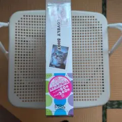 Item thumbnail for item 6c954319-bd6a-4f32-bbd9-dd36bb1c8c29