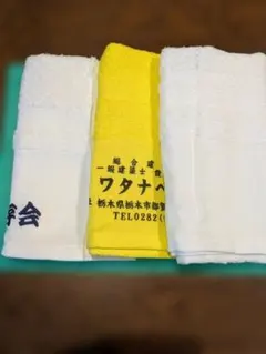 Item thumbnail for item c7203516-e4c0-4997-b605-ef44b7cfd986