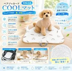 ベアジャカード COOL マット ParisDog韓国(パリスドッグ)のサムネイル