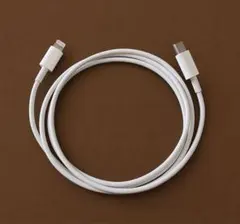 Apple 純正USB-C to Lightningケーブル 1m