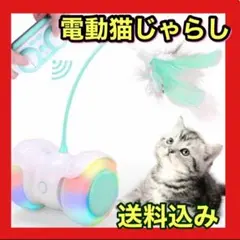 Item thumbnail for item a603a9e8-4e9c-43c5-863a-10d6afcad8d1