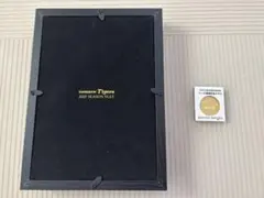 Item thumbnail for item cf9e1d13-2f7f-49a3-96a6-a9c0e5cf32b5