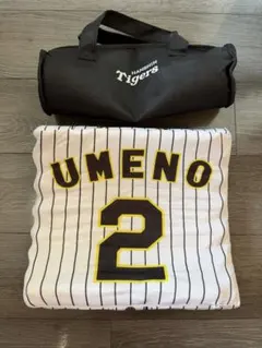阪神タイガース 梅野隆太郎 2 クッション 収納バッグ付き