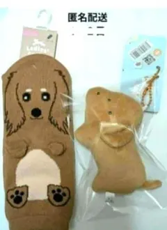 つぶらな瞳の犬　だっくすふんど　れっど　ダックス　レディース靴下のサムネイル