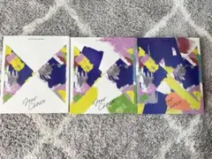 Seventeen セブチ <your choice> 3形態