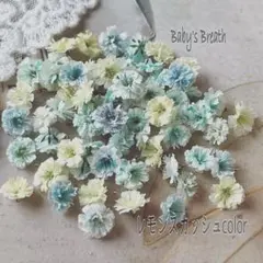 ✵Snowflake✵オーダー不可様 リクエスト 5点 まとめ商品