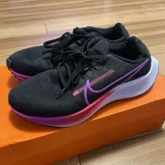 Item thumbnail for item 41f774c4-5b95-4770-8d2a-fa01fbef2fea