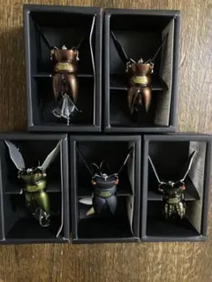Megabass pagani GATTAーX5個セット Megabass pagani GATTAーX5個セット - メルカリ