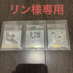 リン様専用5.30.41