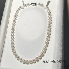 【テリ最強✨ /桐箱付き】あこや真珠 ネックレス　8.0〜8.5mm 本真珠