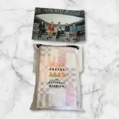 ☆早い者勝ち‼️嵐フェス2020 折りたたみクッション クリアファイル セット☆