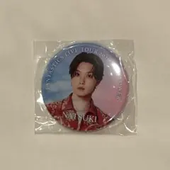 FANTASTICS 堀夏喜 SUNFLOWER カプセルII 缶バッジ