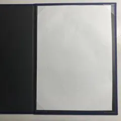 Item thumbnail for item 2d536713-847d-4421-bc8e-c646aa73a0cf