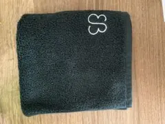 Item thumbnail for item 95cba153-62f4-4385-9f36-fdb3c80b75e7