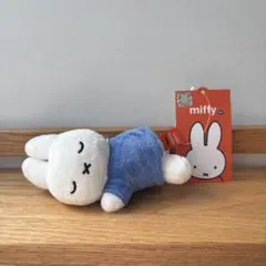 Item thumbnail for item f51ed35f-c18d-4ffd-9a8b-99304bc0ff00