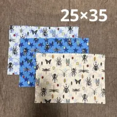 2026年最新】ランチョンマット 2枚セット (25×35cm)の人気アイテム