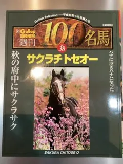 2026年最新】Gallop臨時増刊 週刊100名馬の人気アイテム - メルカリ