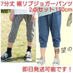 7分丈 裾リブパンツ ジョガーパンツ グレーブルー ストライプ 2本 150