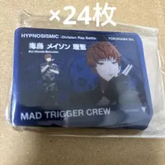 222 毒島メイソン理鶯