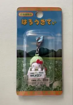2026年最新】ご当地キティ 北海道 メロンの人気アイテム - メルカリ