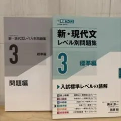 新・現代文レベル別問題集③標準編
