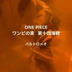 【中身のみ】ワンピの実 バルトロメオ①