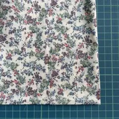 T48 Moon moth ムーンモス 訳ありハギレ リバティ タナローン