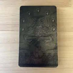 ゼルダの伝説 ティアーズ オブ ザ キングダム スチールブック