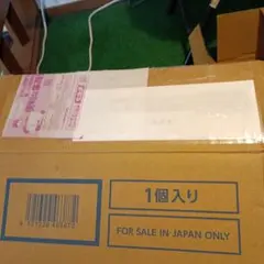 ポケモン30th フューチャリックボックス 段ボール　納品書付き