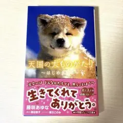 天国の犬ものがたり～はじめまして～