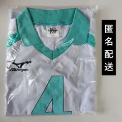 限定！値下げ交渉可 近江高校　バレー　20年連続春高出場記念Tシャツ 限定！値下げ交渉可 近江高校 バレー 20年連続春高出場記念Tシャツ