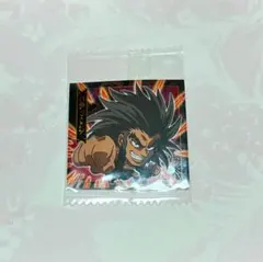 HUNTER☓HUNTER ウエハースシール vol.1 ウボォーギン 幻影旅団