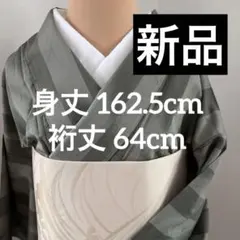 トールサイズ　夏小紋　絽縮緬　単衣　いしき宛付　裄68 ブルーグレー矢鱈縞 トールサイズ 夏小紋 絽縮緬 単衣 いしき宛付 裄68 ブルーグレー矢鱈縞