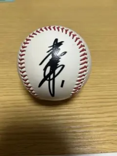 横浜ベイスターズ 金城龍彦サイン入りボール